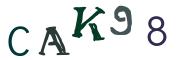 CAPTCHA obrazkowa