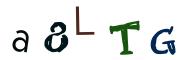 CAPTCHA obrazkowa