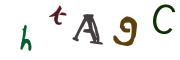 CAPTCHA obrazkowa