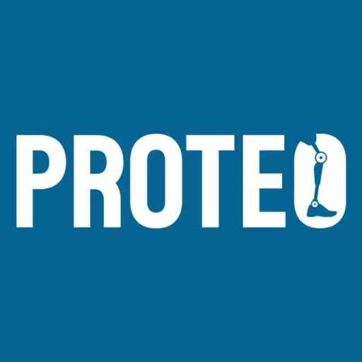 Logo firmy PROTEO.