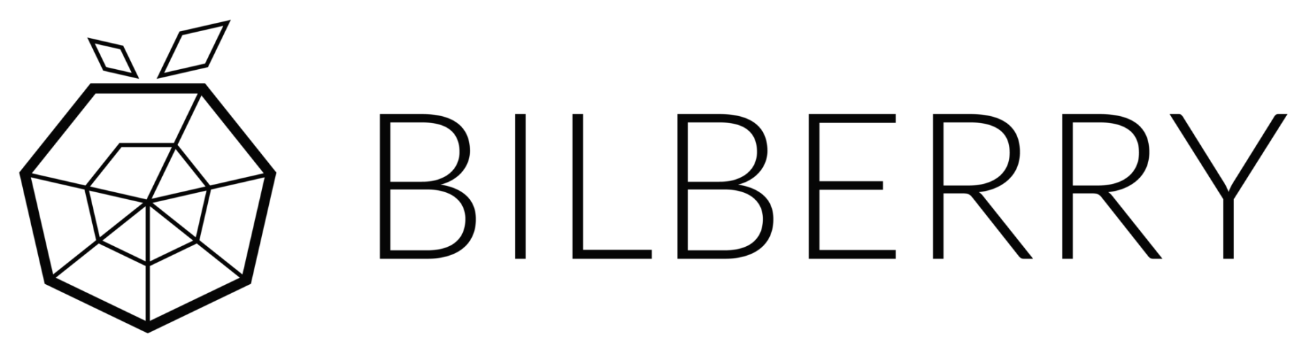 Logo firmy Bilberry