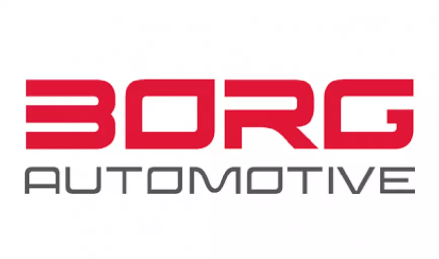 Logo firmy Borg Automotive.