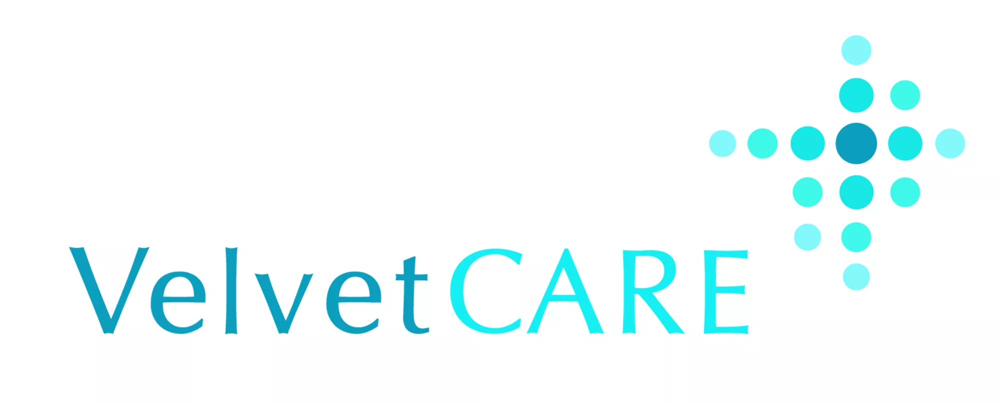 Logo firmy Velvet Care.